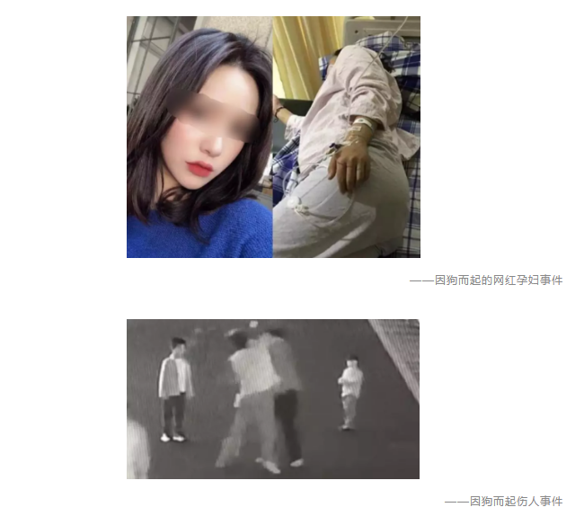 為什么不買保險(xiǎn)就不讓養(yǎng)狗？