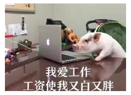 發(fā)生車禍如何快速理賠？